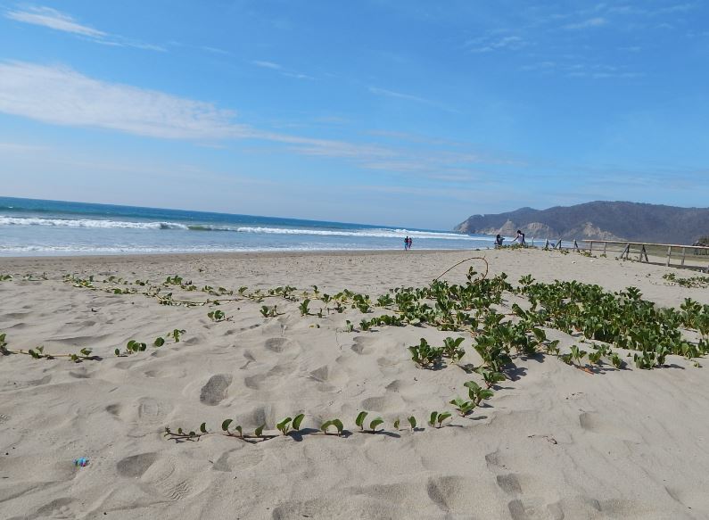 Playa de Puerto López